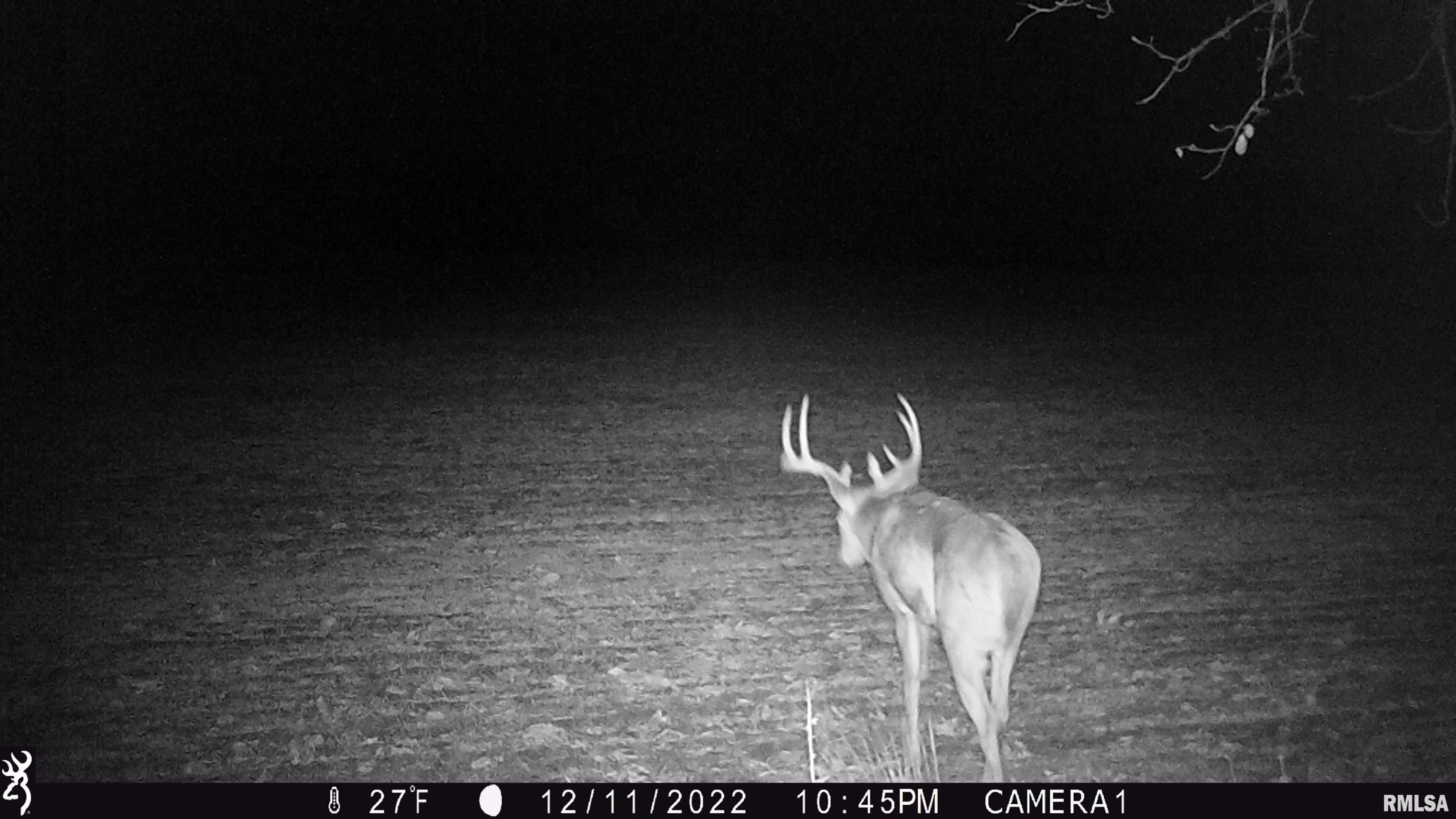 0 Hoffman Road Centralia, IL 62801 - Photo 35 of 36