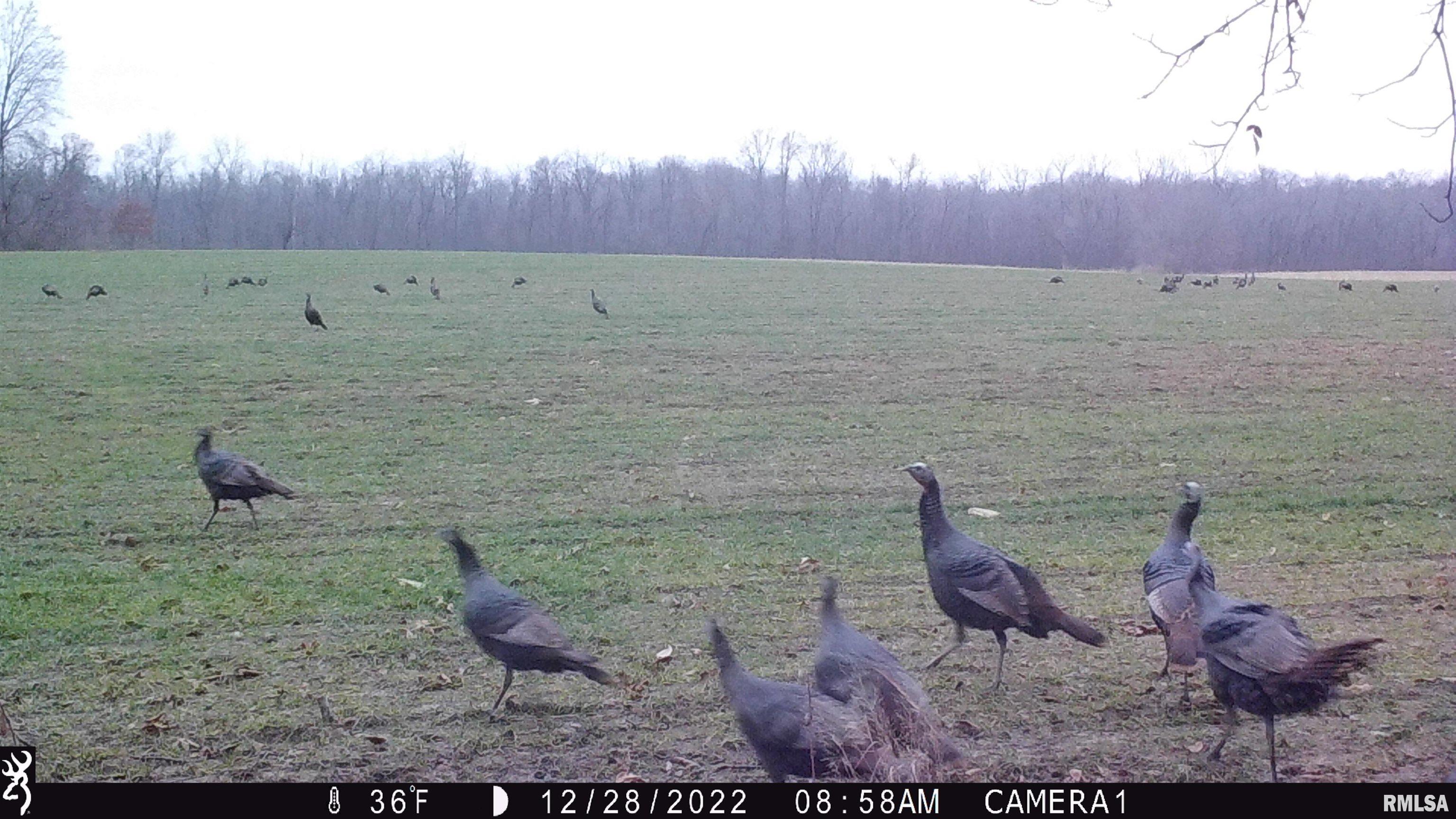 0 Hoffman Road Centralia, IL 62801 - Photo 36 of 36