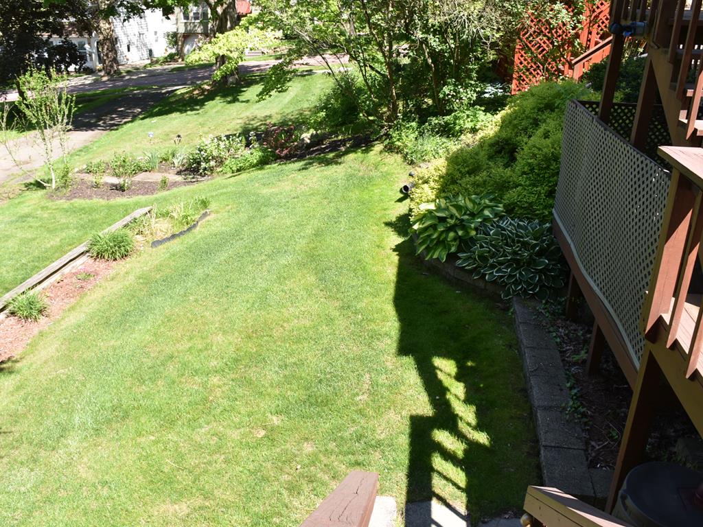 655 Chestnut Street Meadville, PA 16335 - Photo 43 of 43 a view of a yard with plants