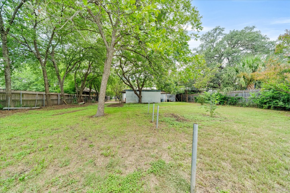 1206 Ruth Avenue Austin, TX 78757 - Photo 4 of 22 a view of a yard with a tree