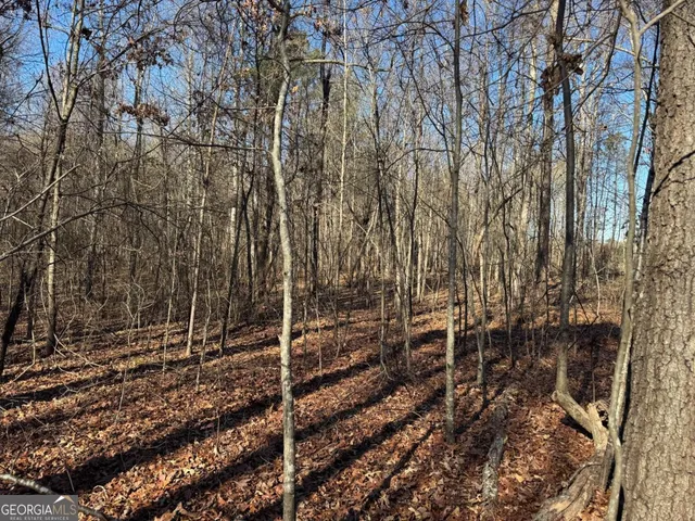 $1,600,000 | 6601 Hog Mountain Hwy - Hwy 53, Unit PARCEL B 3 ACRES, Bogart, GA 30622