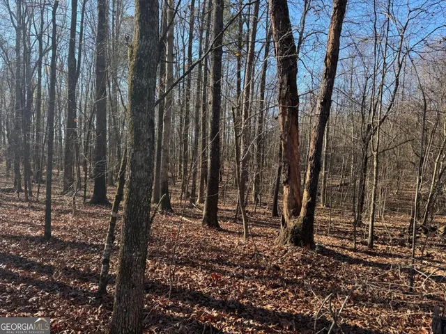 $1,600,000 | 6601 Hog Mountain Hwy - Hwy 53, Unit PARCEL B 3 ACRES, Bogart, GA 30622