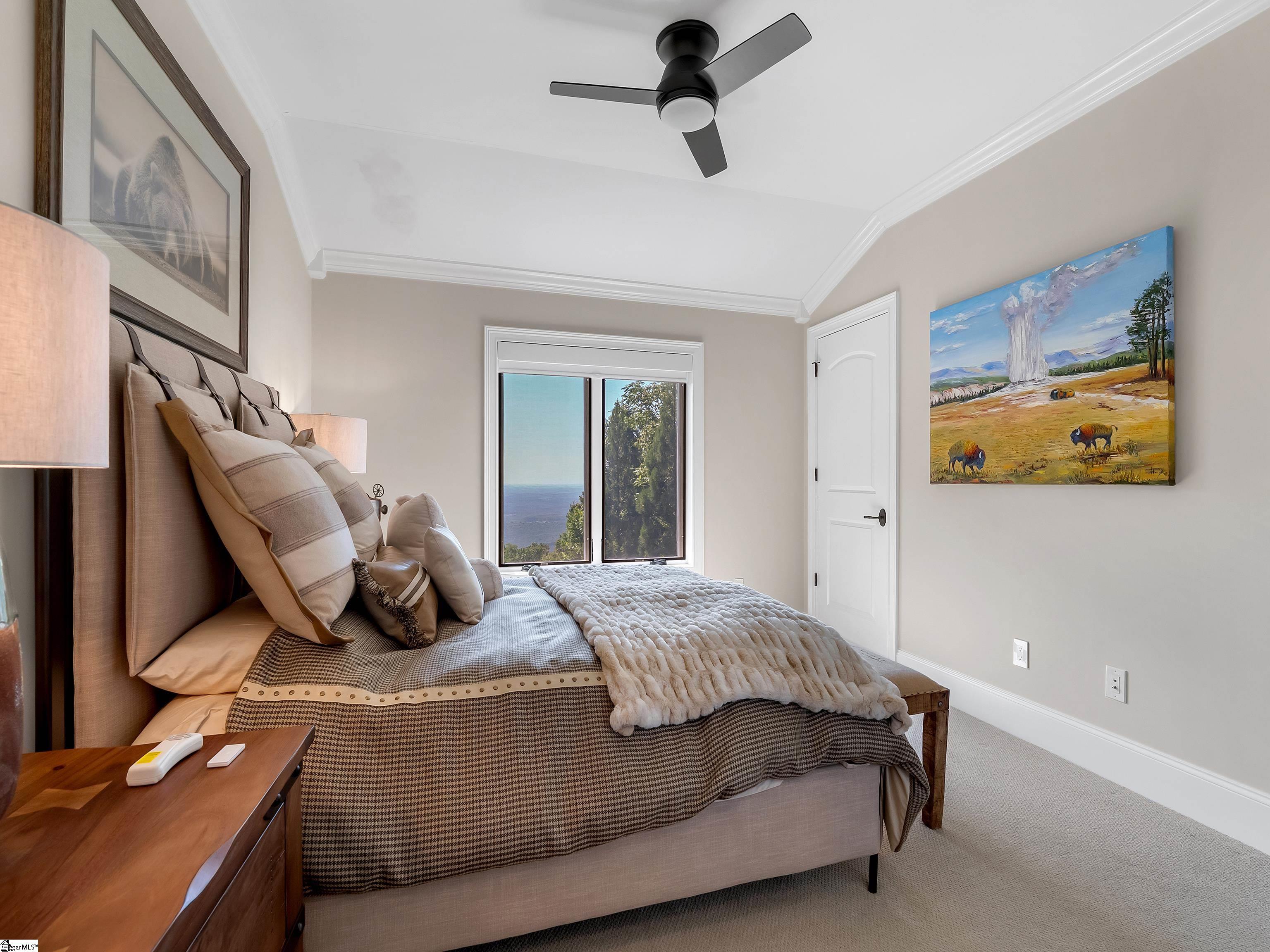 605 Raven Road Landrum, SC 29356 - Photo 21 of 50