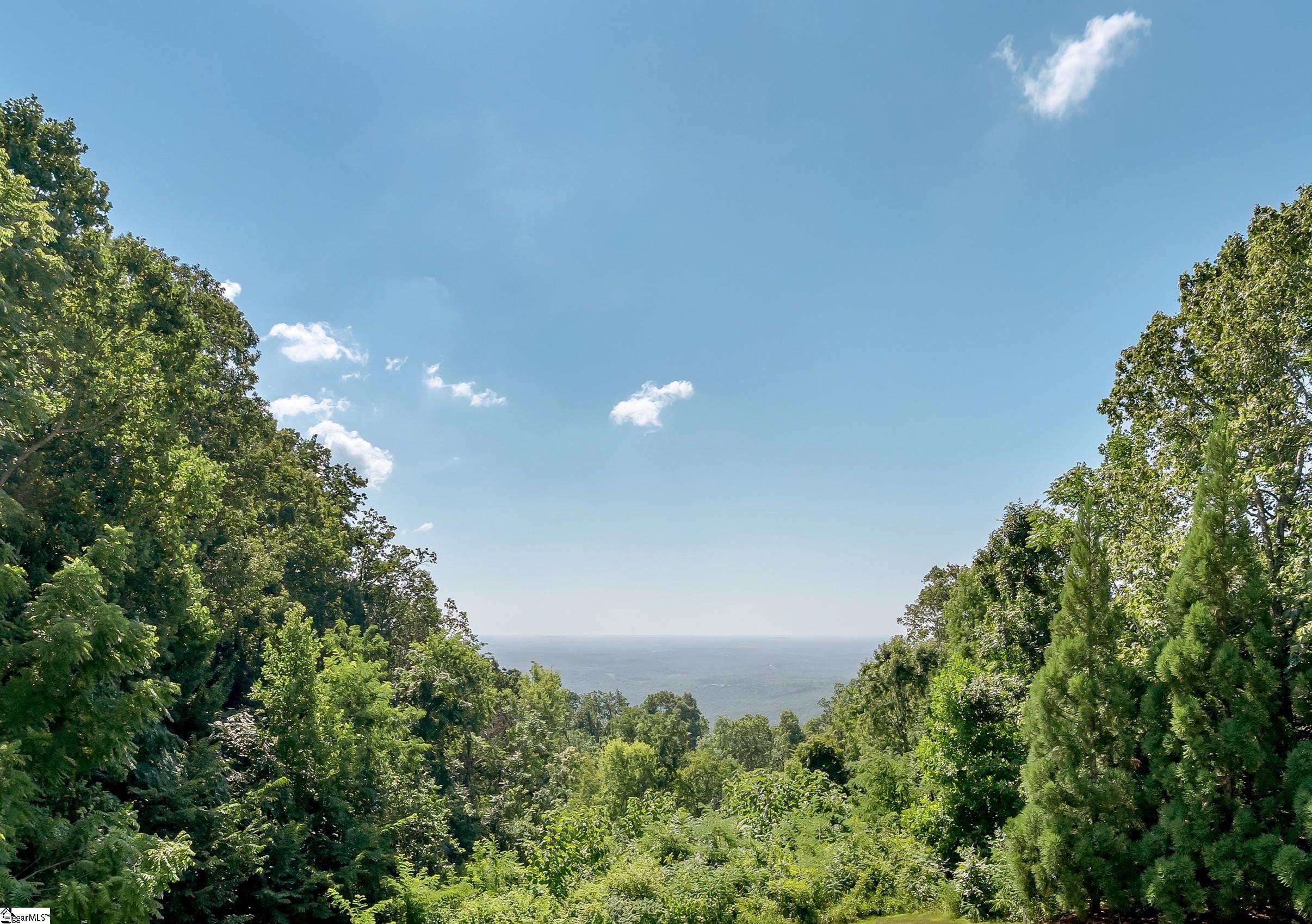 605 Raven Road Landrum, SC 29356 - Photo 3 of 50