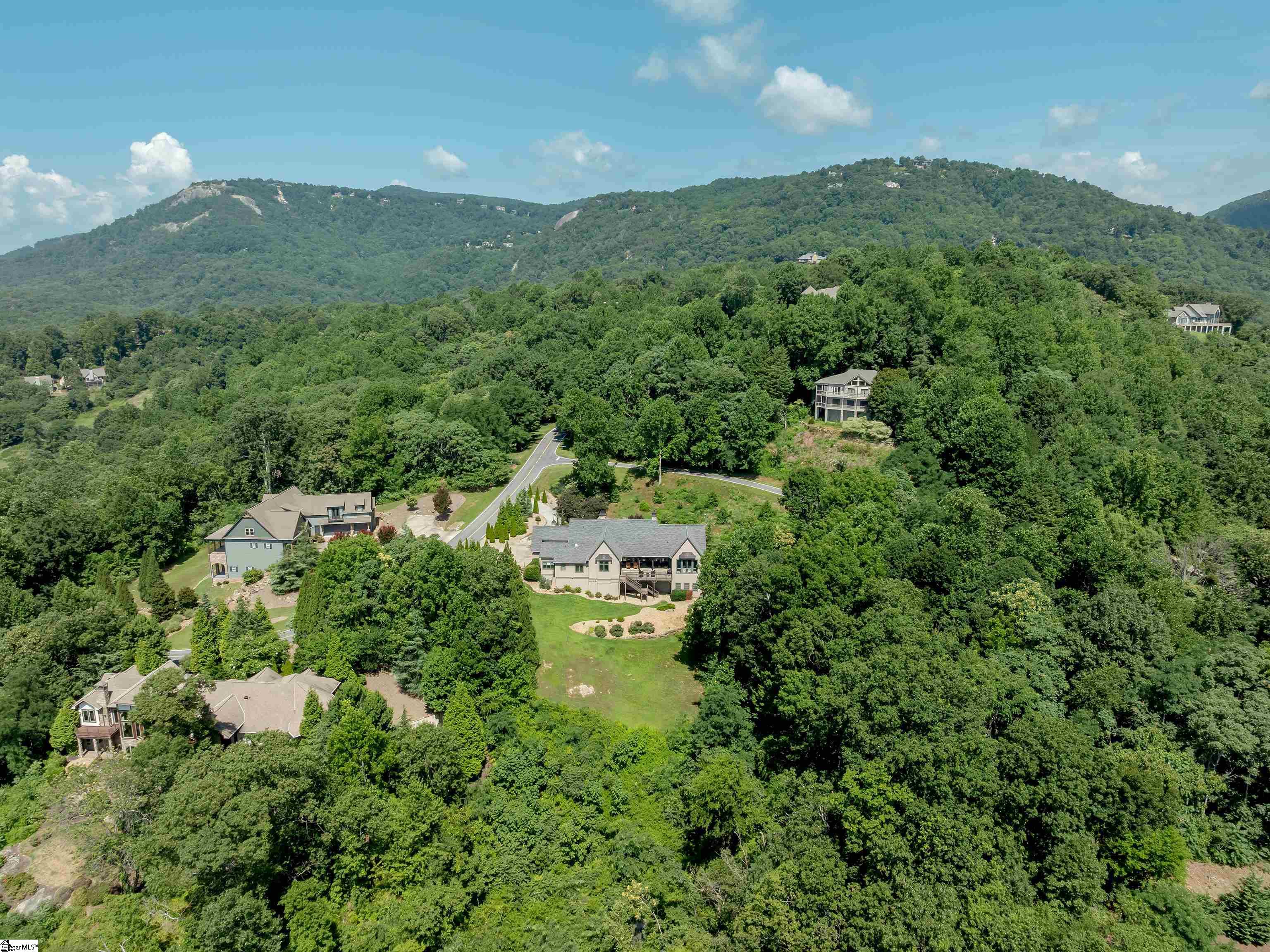 605 Raven Road Landrum, SC 29356 - Photo 42 of 50