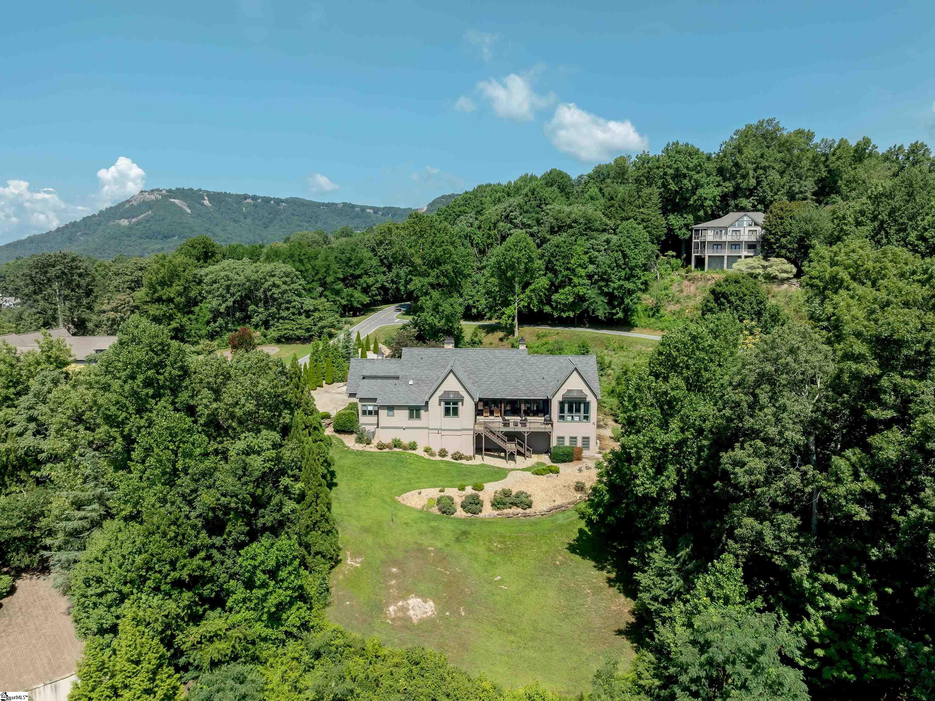 605 Raven Road Landrum, SC 29356 - Photo 46 of 50