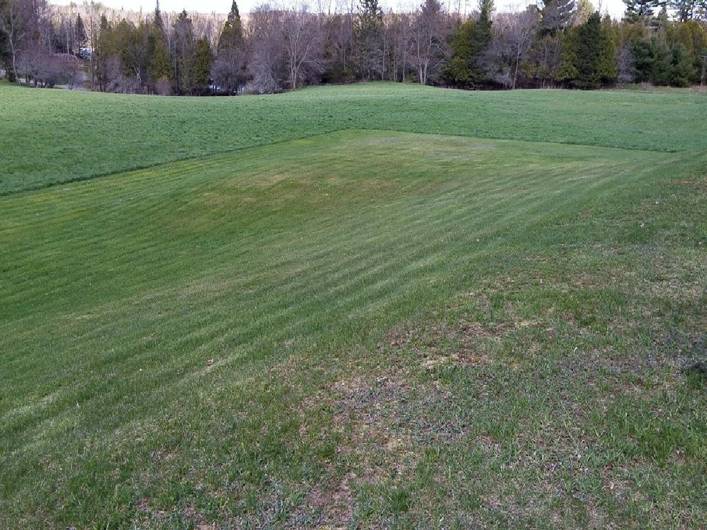 415 Palmer Road Thorndike, ME 04986 - Photo 28 of 28 Back Yard
