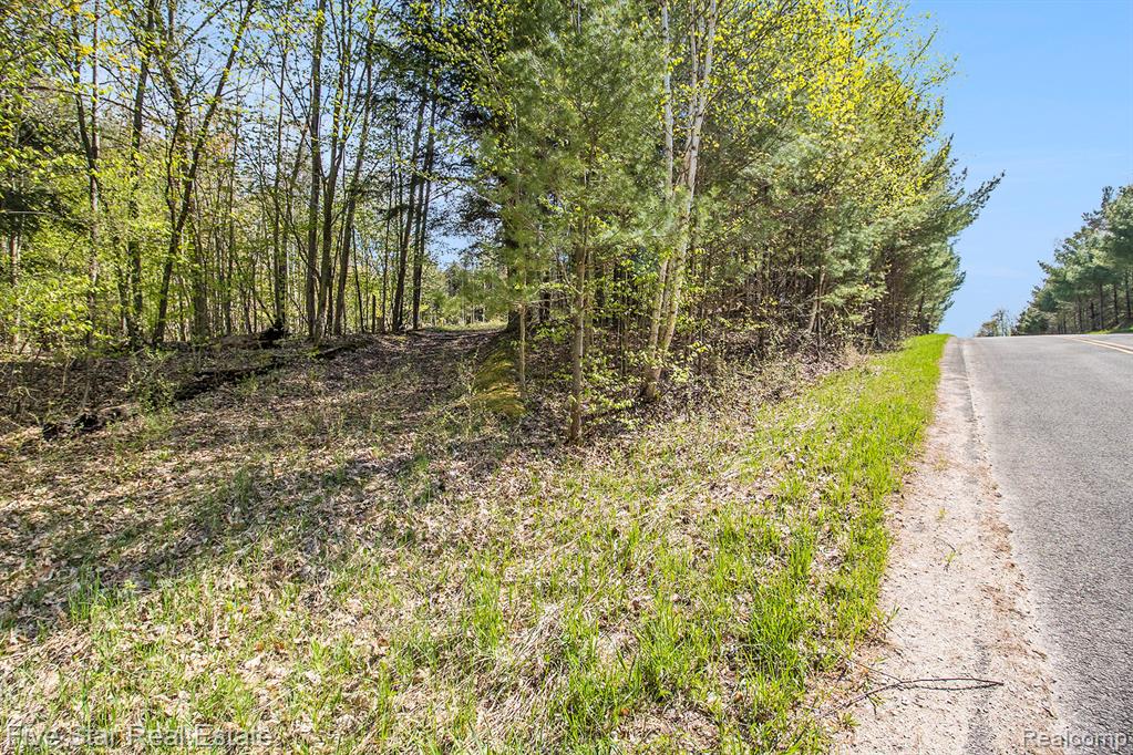 0 Smith Road Onekama, MI 49675 - Photo 12 of 23