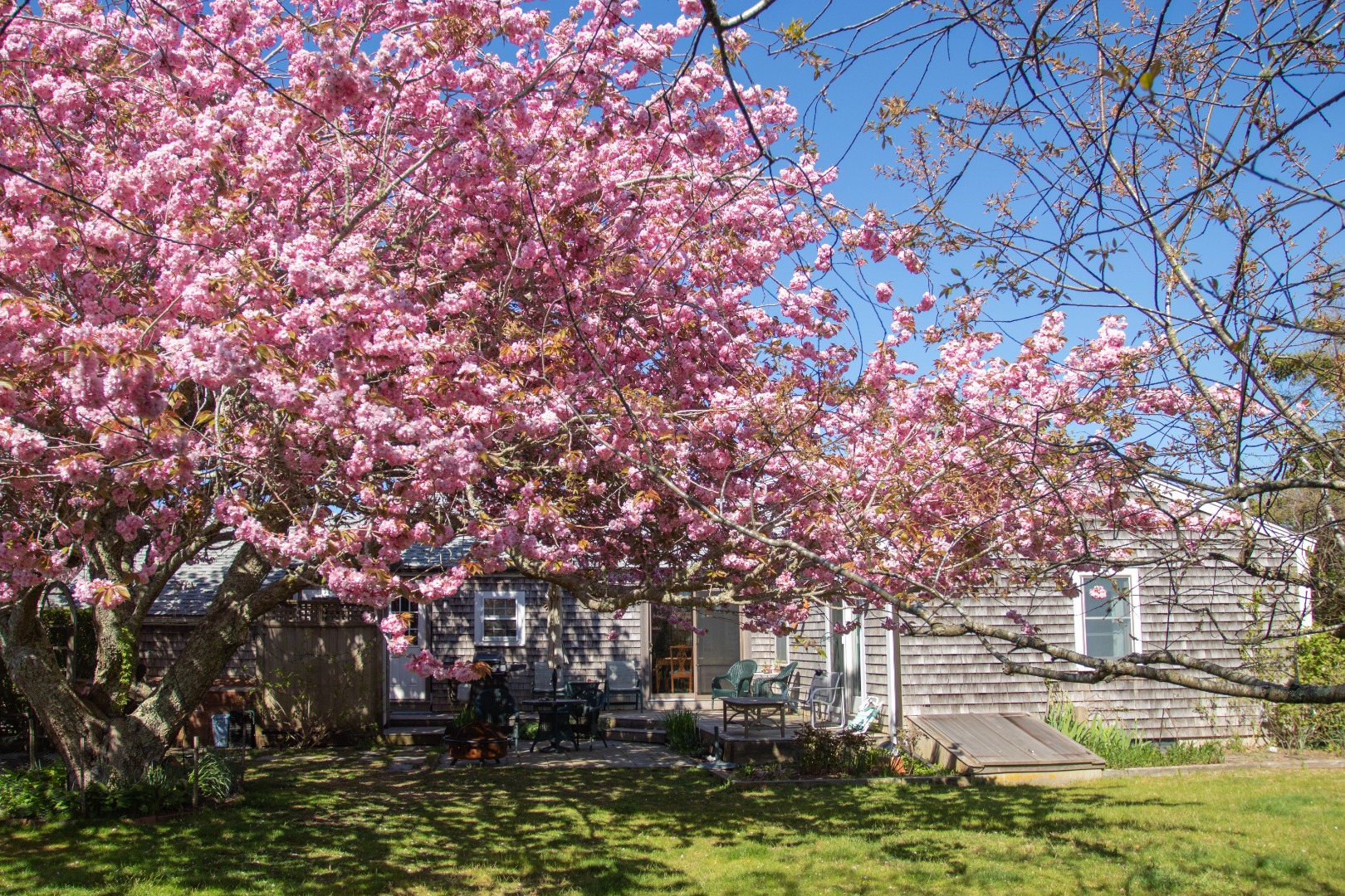 11 Newtown Road Nantucket, MA 02554 - Photo 4 of 20 a view of house with yard in front of it