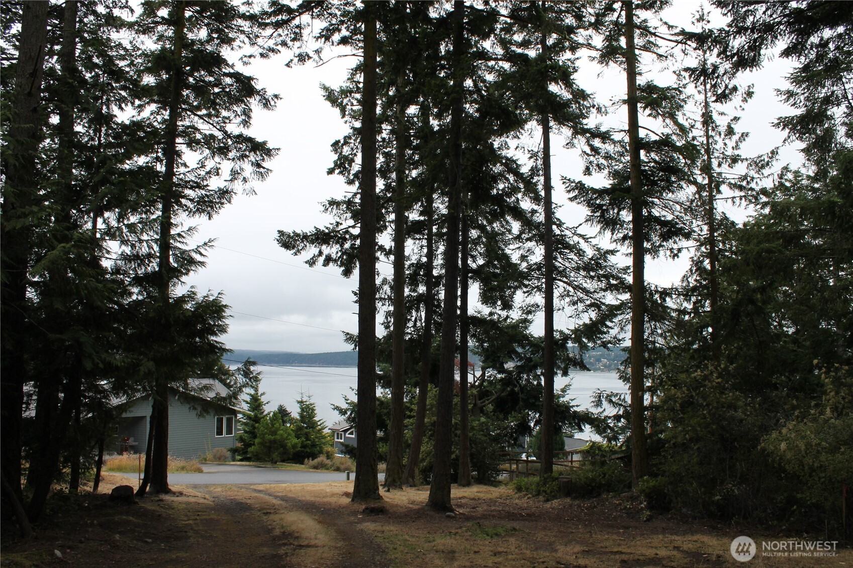 85 Quinault Loop Port Townsend, WA 98368 - Photo 15 of 34 a view of a tree in front of a house