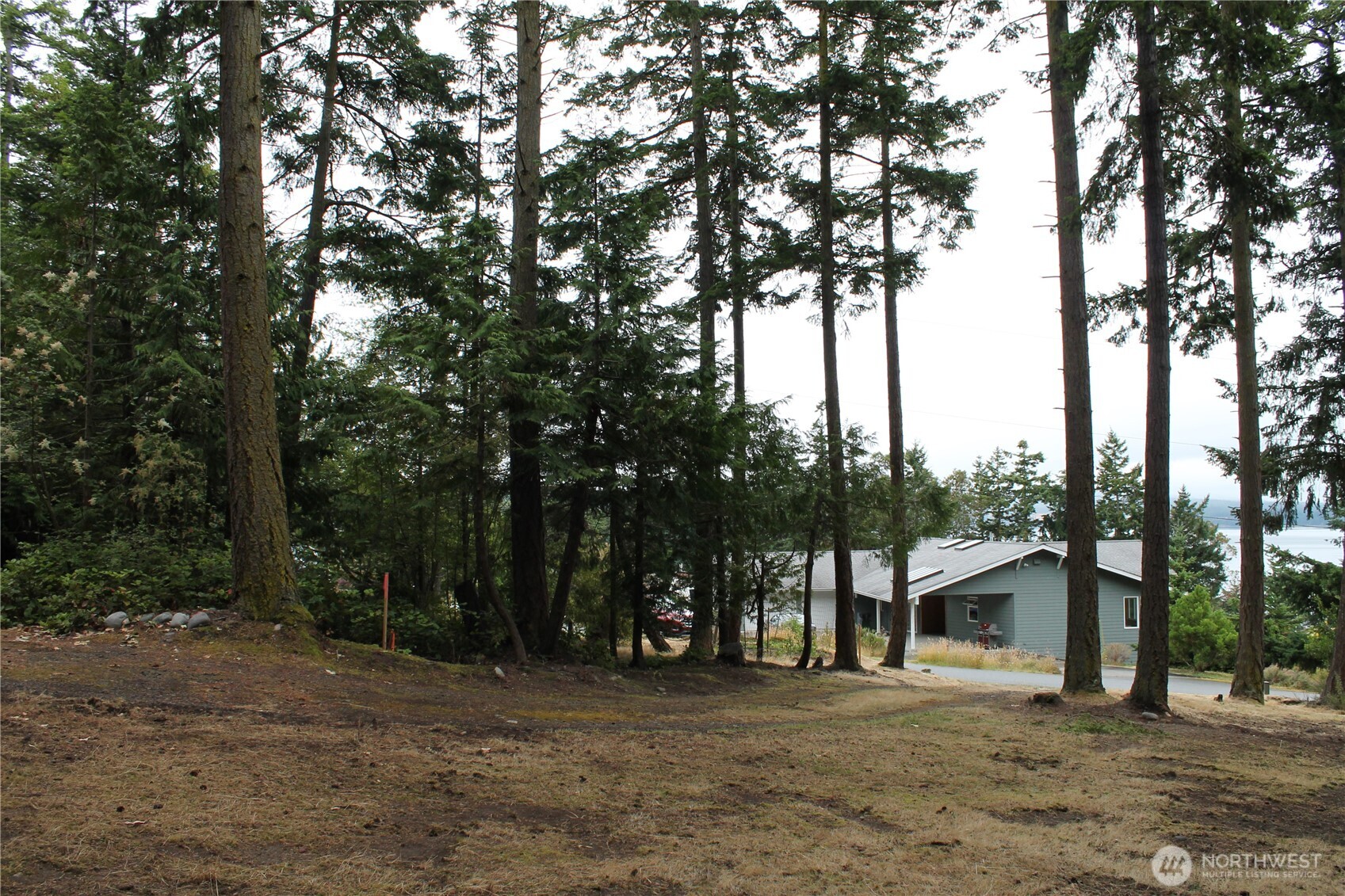 85 Quinault Loop Port Townsend, WA 98368 - Photo 16 of 34 a white house that has a tree in front of it