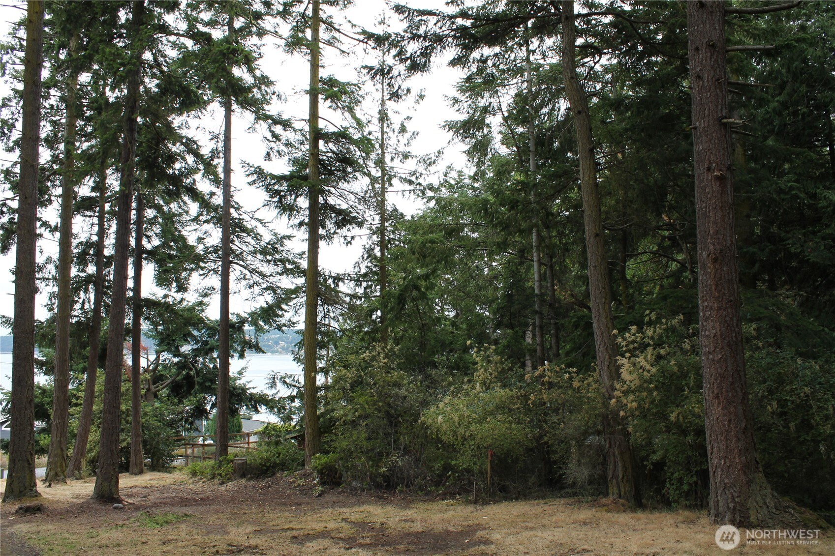 85 Quinault Loop Port Townsend, WA 98368 - Photo 17 of 34 a view of a field with trees in the background