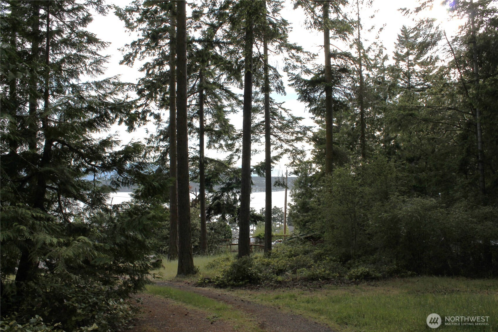 85 Quinault Loop Port Townsend, WA 98368 - Photo 18 of 34 a view of outdoor space and green space