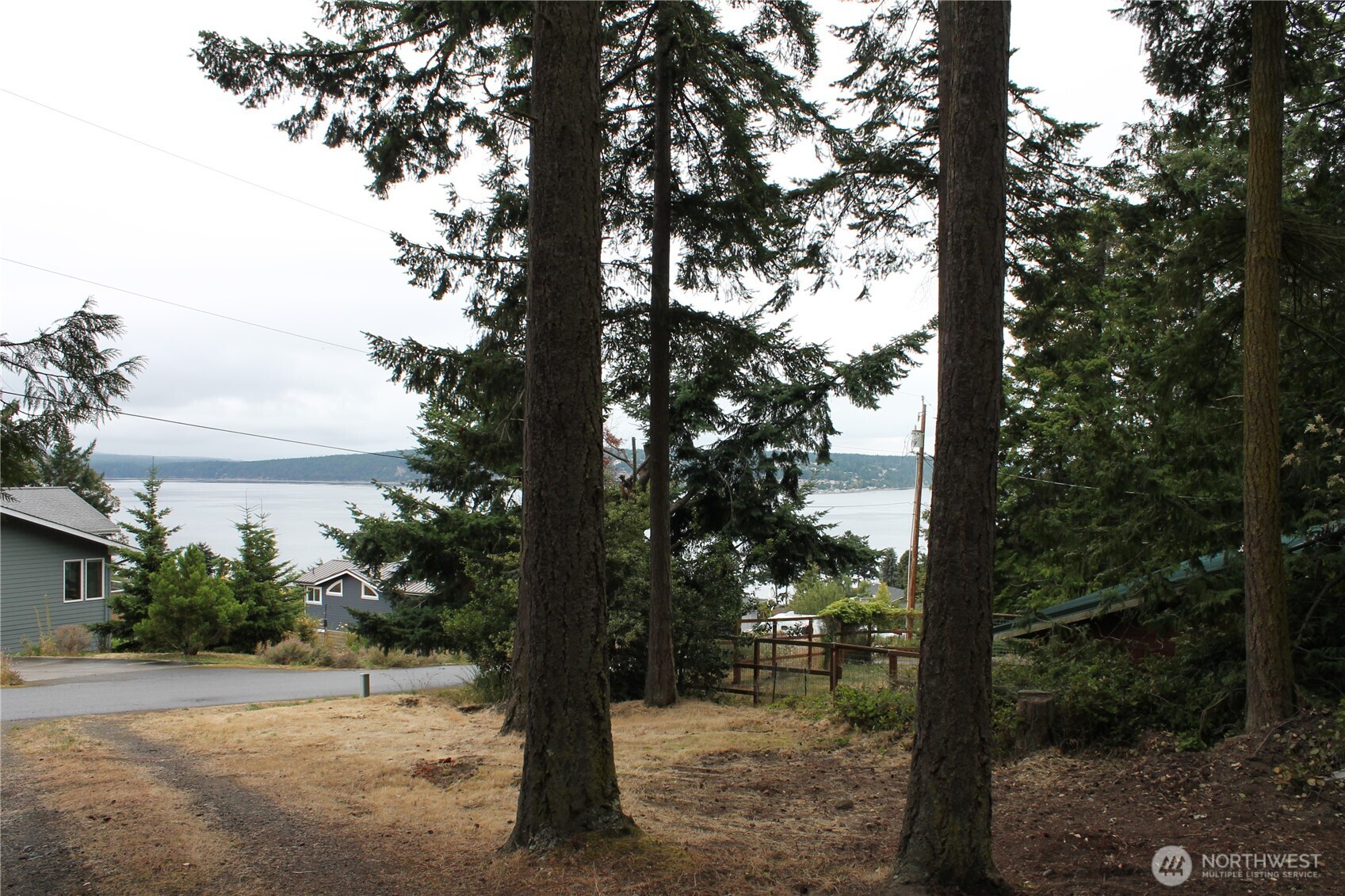 85 Quinault Loop Port Townsend, WA 98368 - Photo 4 of 34 a view of a yard with a tree