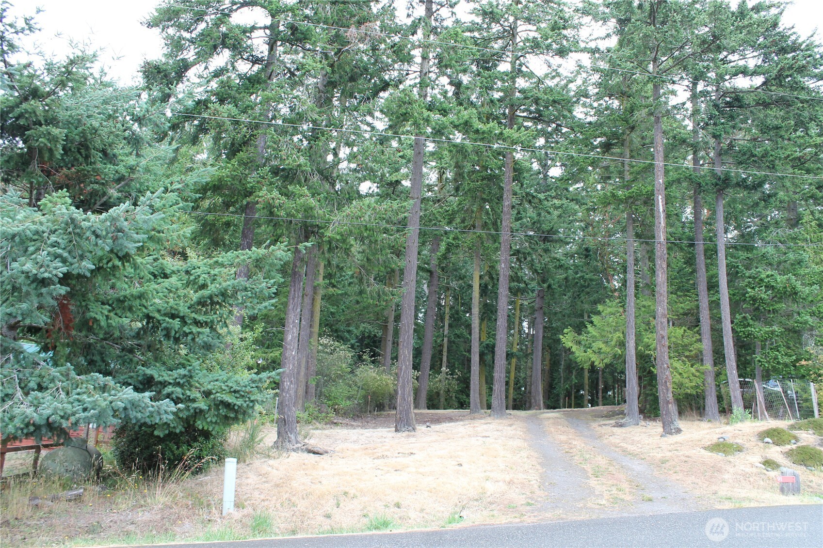 85 Quinault Loop Port Townsend, WA 98368 - Photo 7 of 34 a view of a backyard of a house
