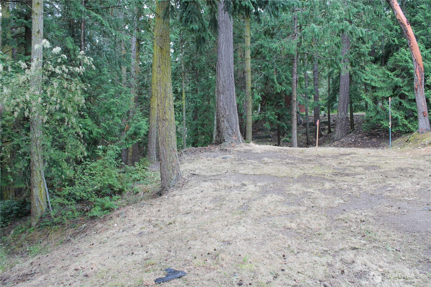 85 Quinault Loop Port Townsend, WA 98368 - Photo 8 of 34 a wooden fence with trees in the background