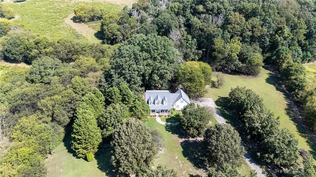 a view of a garden with plants