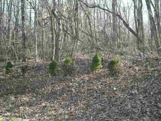 6495 Cooks Hill Road Newark, OH 43056 - Photo 2 of 9