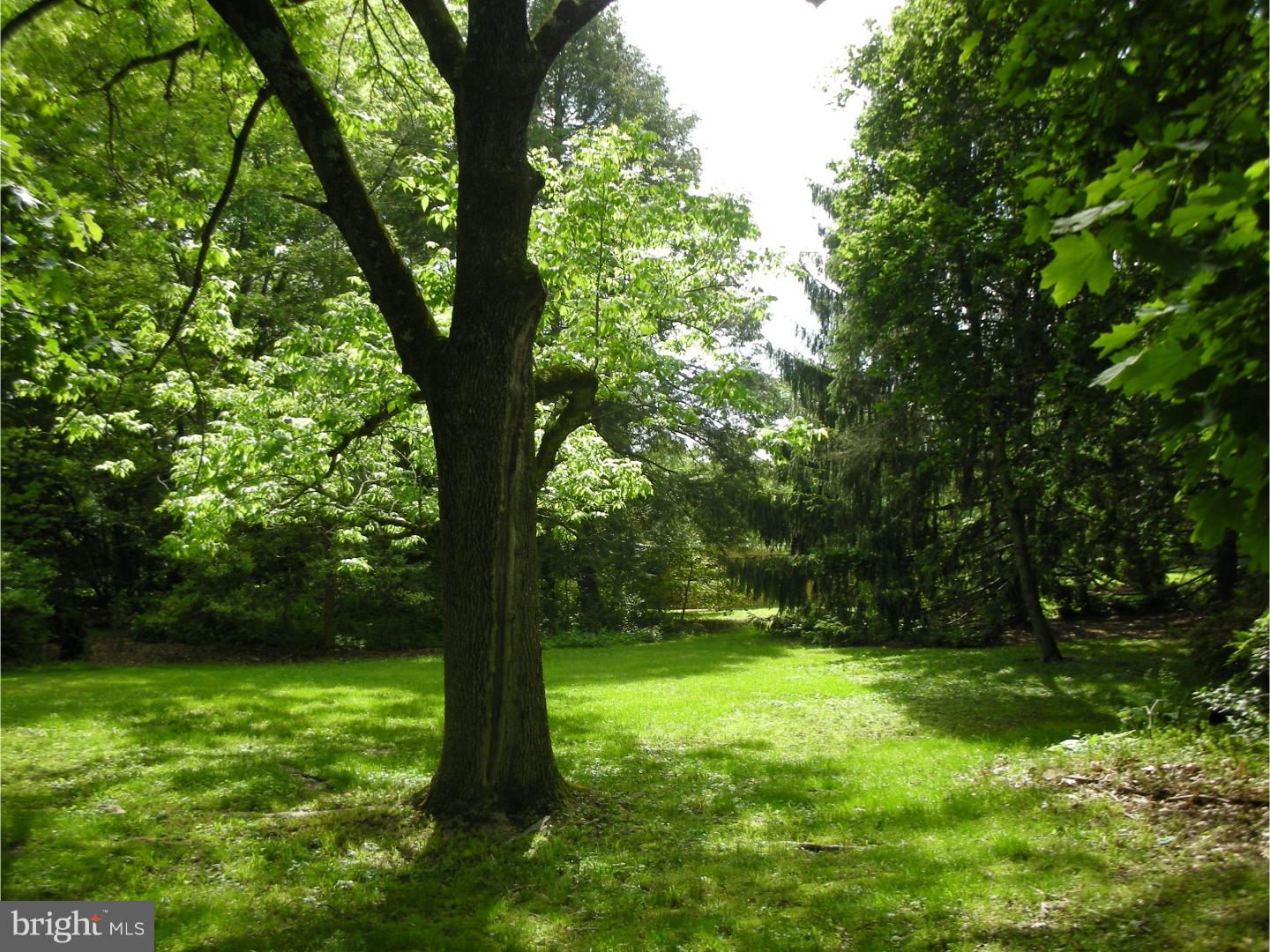 1782 Turk Road Doylestown, PA 18901 - Photo 8 of 20