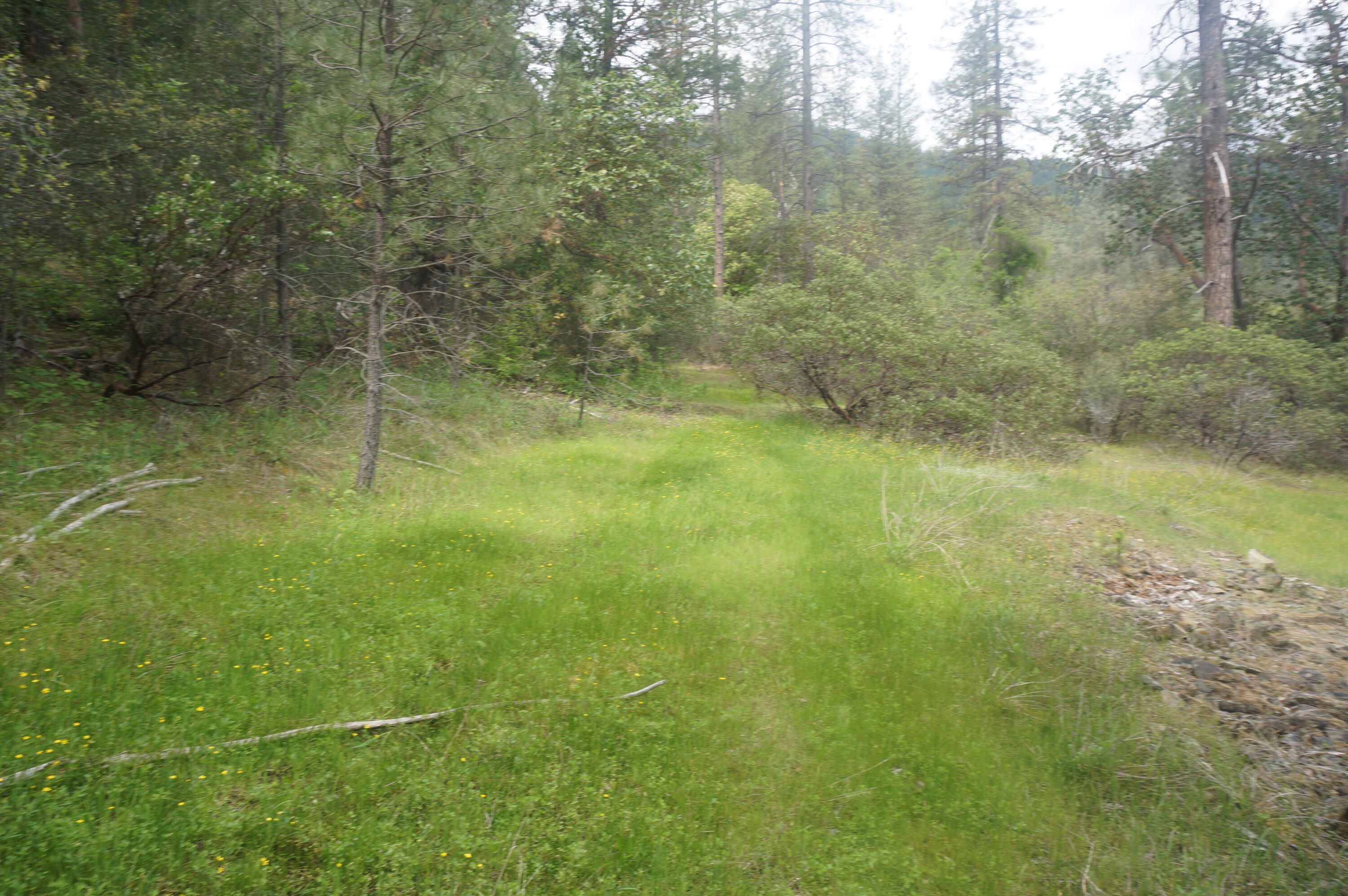 6269 Dutch Creek Road Junction City, CA 96048 - Photo 25 of 33 31.07 acres off Dutch Creek 016