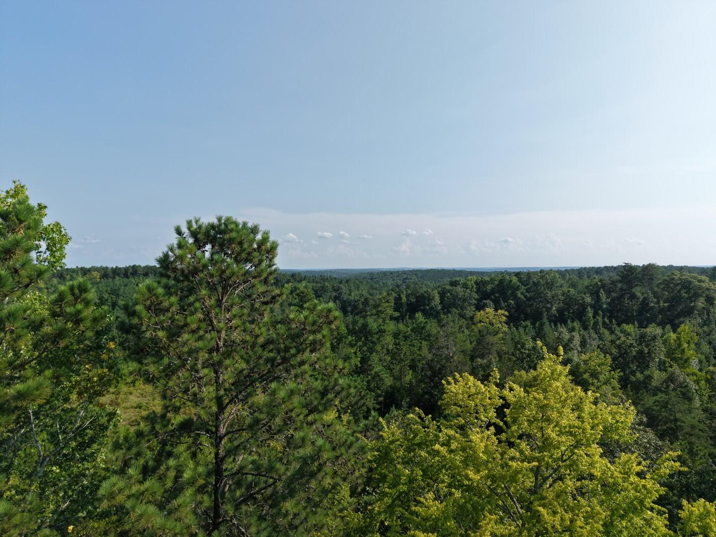 3096 State Rd S-20-33, Unit 2 Blair, SC 29015 - Photo 28 of 32 DJI_20260811171158_0273_D (Large)