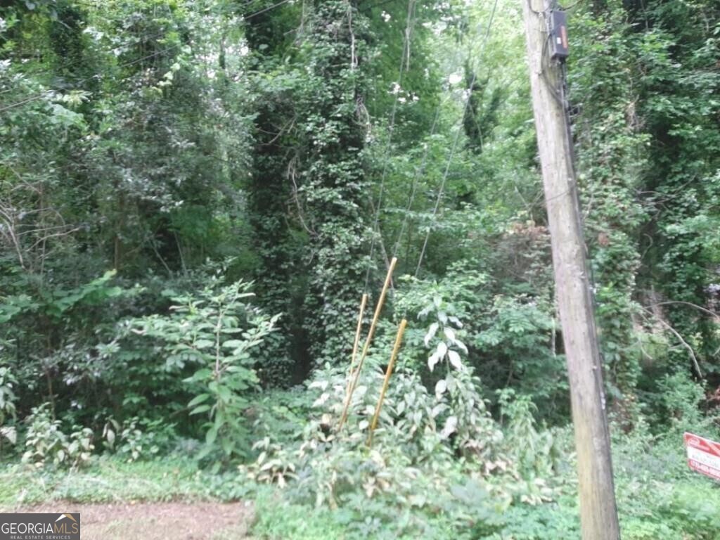 4400 Marjorie Road Southwest Snellville, GA 30039 - Photo 1 of 1 a view of a lush green forest