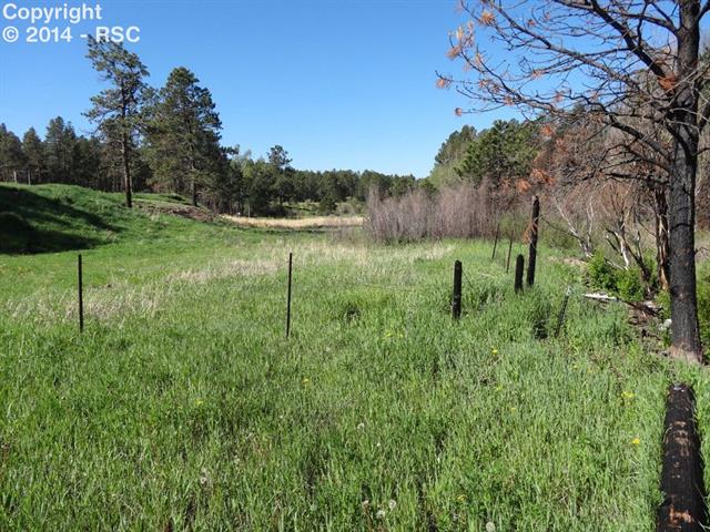 6150 Shoup Road Colorado Springs, CO 80908 - Photo 14 of 25