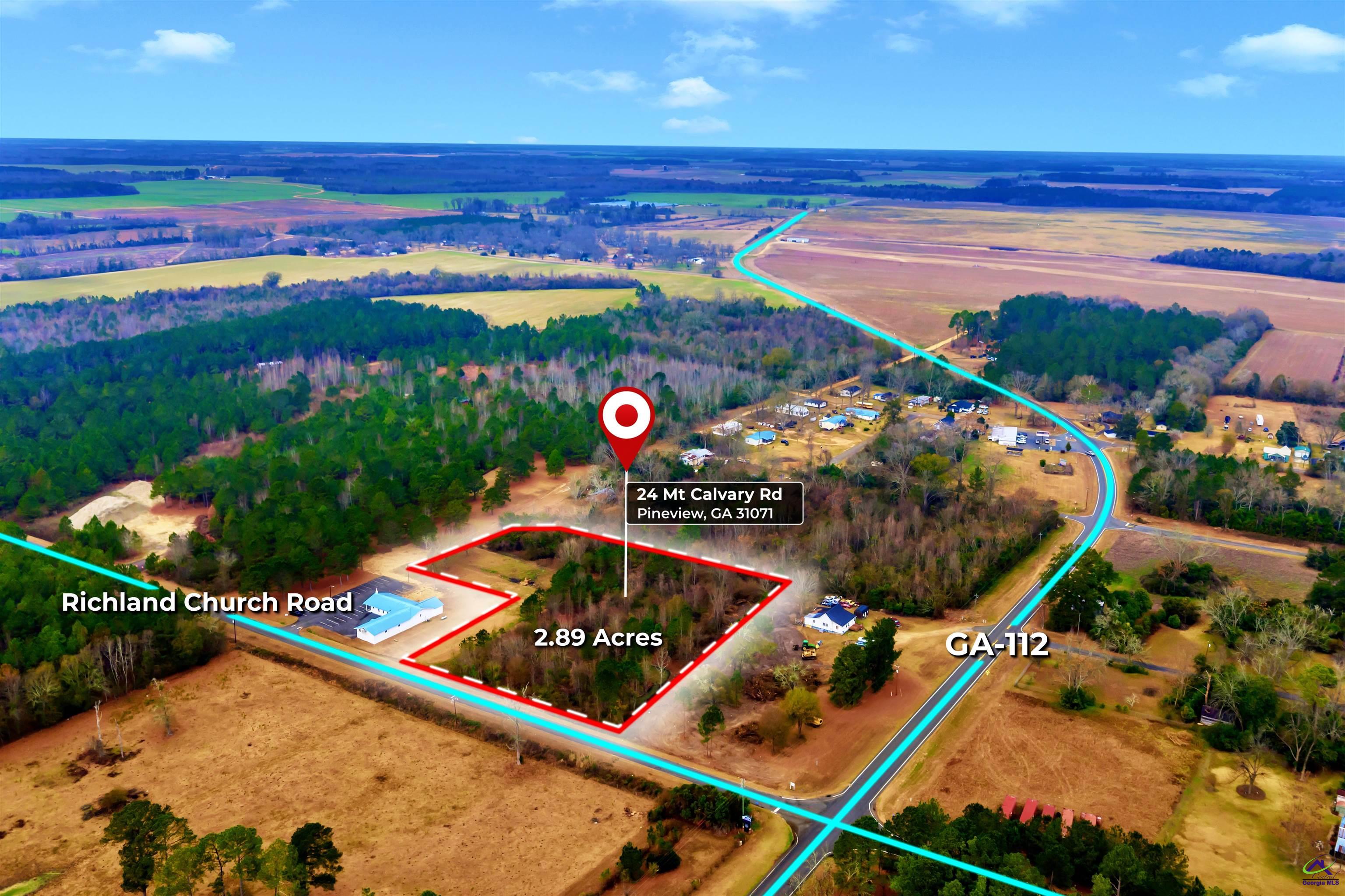 0 Mt Calvery Church Road Pineview, GA 31071 - Photo 3 of 10