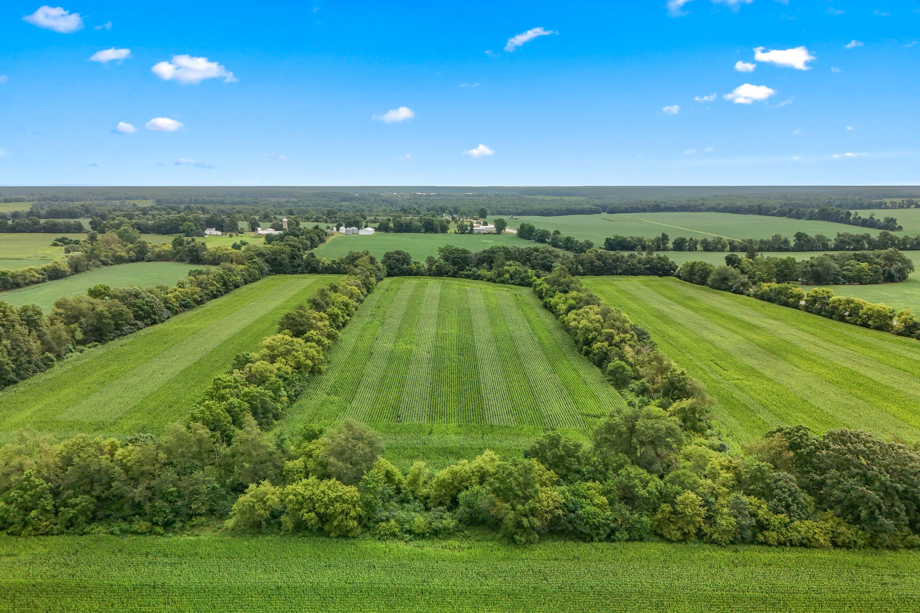 7560 West Chicago Road Allen, MI 49227 - Photo 12 of 13 11