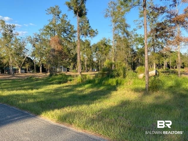 16108 Old Pierce Road Fairhope, AL 36532 - Photo 13 of 14