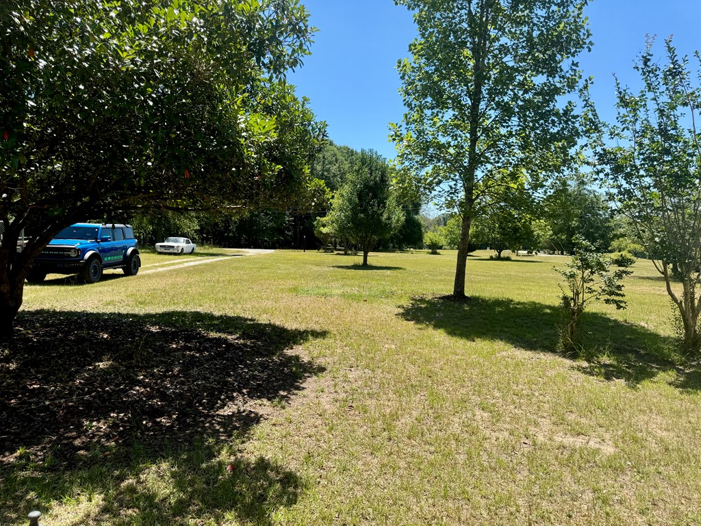 86 Ole Creek Road Pittsview, AL 36871 - Photo 28 of 29