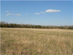 1 Jack Pickle Road Lewisburg, TN 37091 - Photo 1 of 1 Gallery Image 1