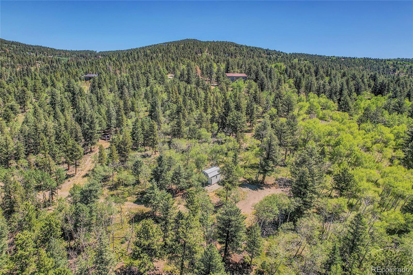 4 Hughesville Road Black Hawk, CO 80422 - Photo 29 of 29 a view of a lush green forest with lots of trees