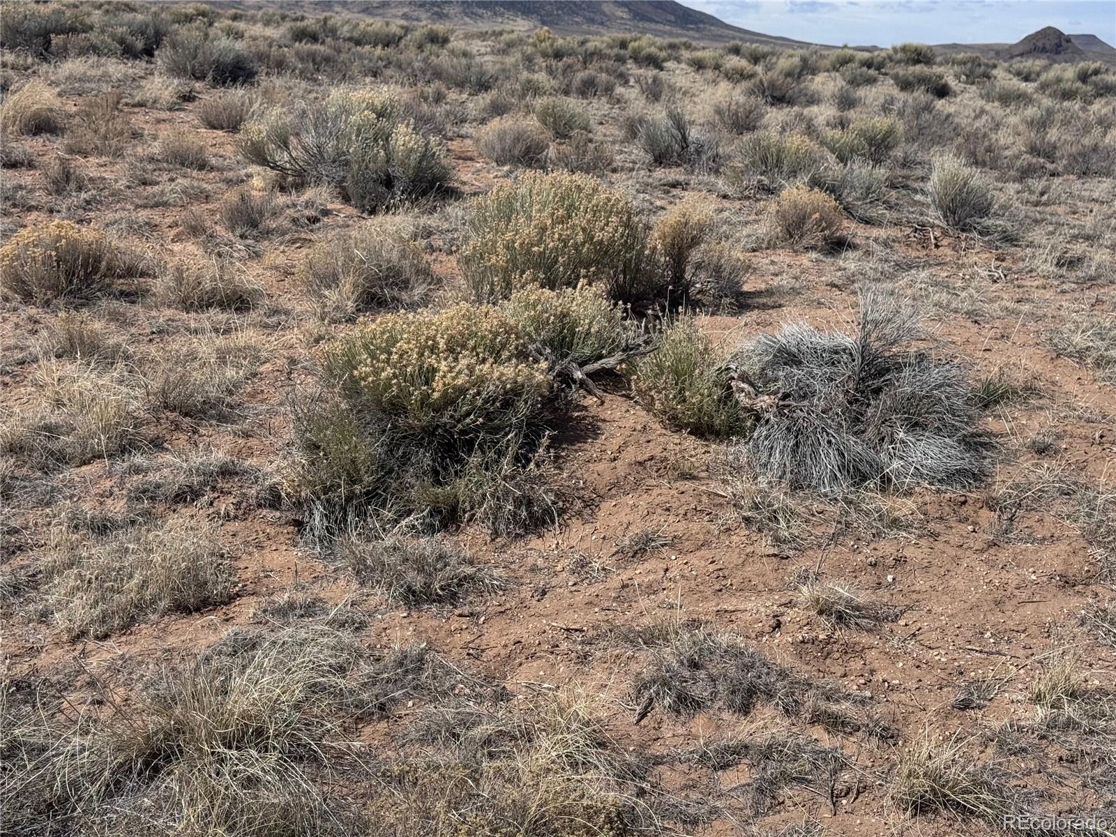 a view of a dry yard with green space and fog