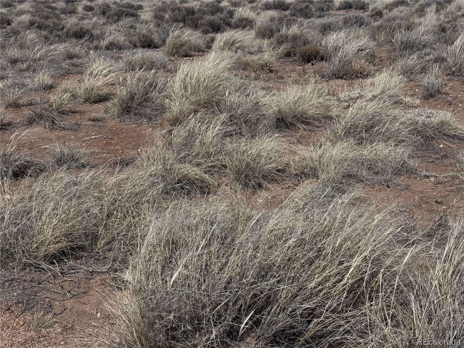 Lot 3 Ana Road Sanford, CO 81151 - Photo 11 of 13 a view of a dry yard