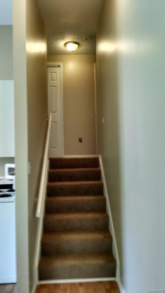 244 Mason Road Howell, MI 48843 - Photo 6 of 8 Stairs