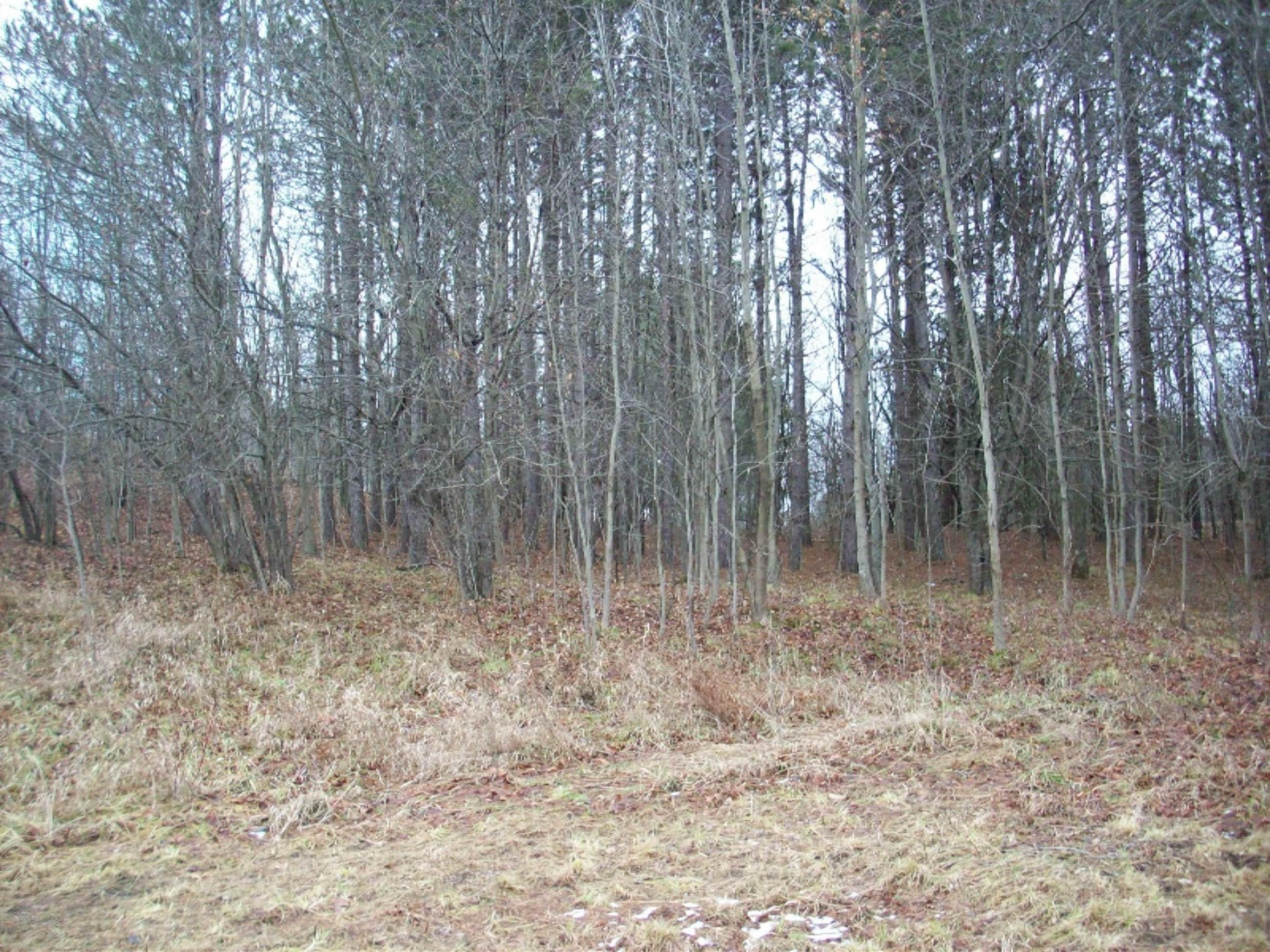 10214 190th Avenue Reed City, MI 49677 - Photo 5 of 5 100_5199
