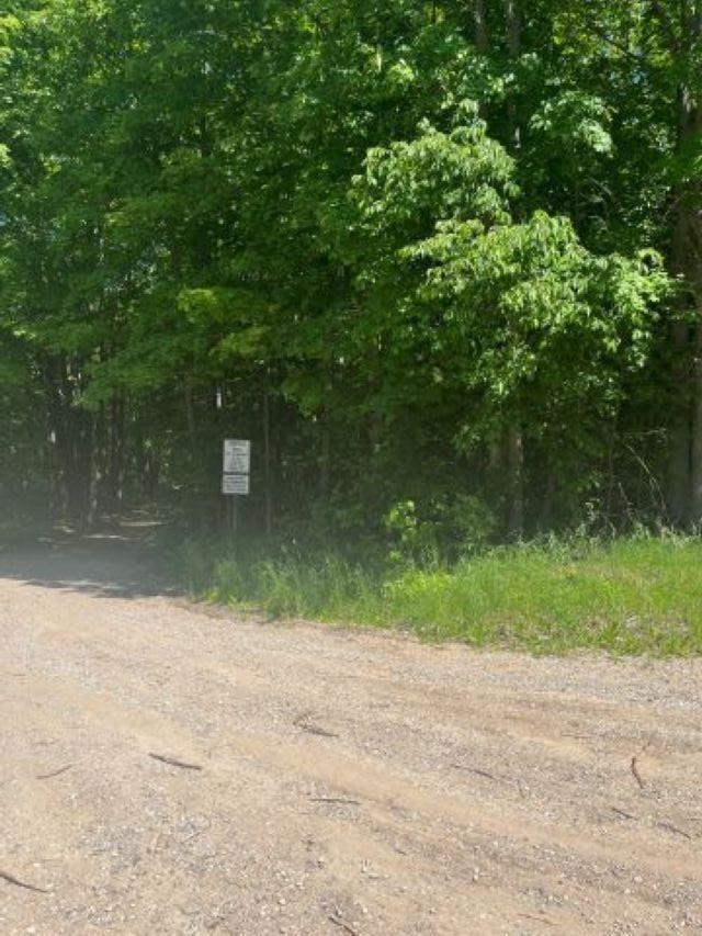 Parcel B North Parcel B N 45th Road Manton, MI 49663 - Photo 6 of 8