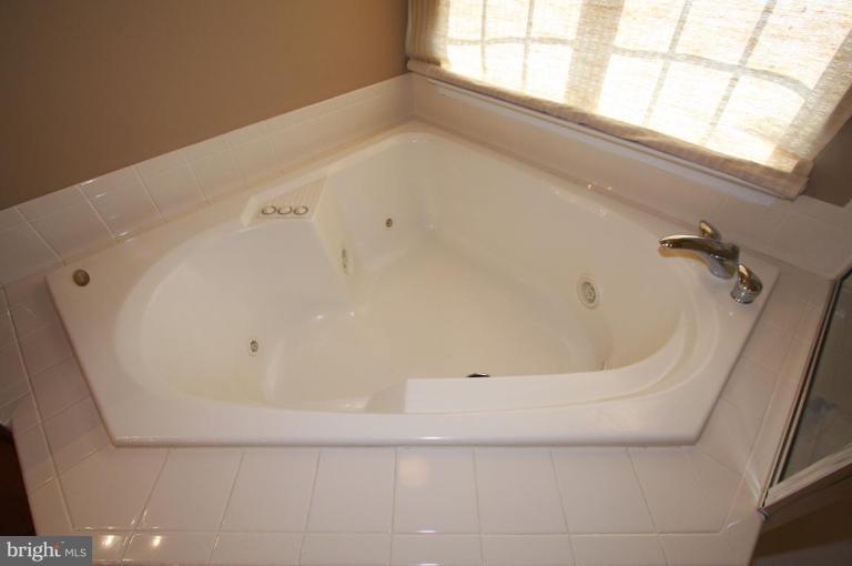 25812 Spring Farm Circle Chantilly, VA 20152 - Photo 14 of 22 Master Bath