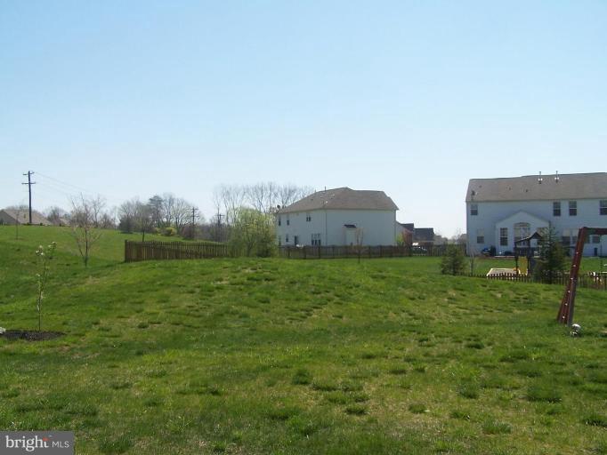 25812 Spring Farm Circle Chantilly, VA 20152 - Photo 22 of 22 Back yard