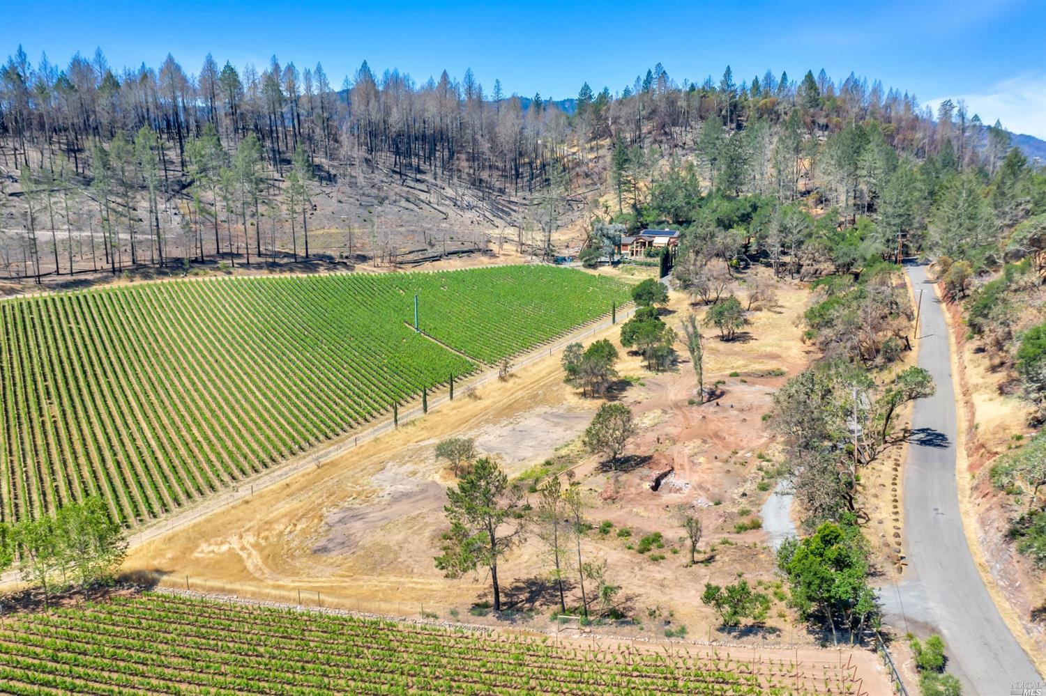 a view of a swimming pool with a yard and trees in the background