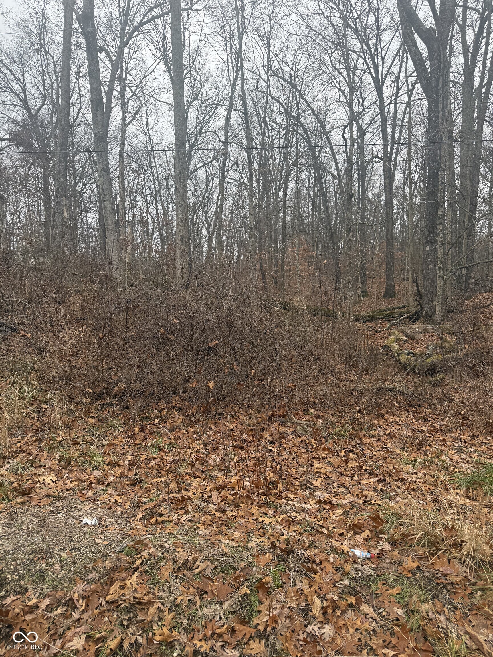 0 Airport West Road Bloomington, IN 47403 - Photo 2 of 3