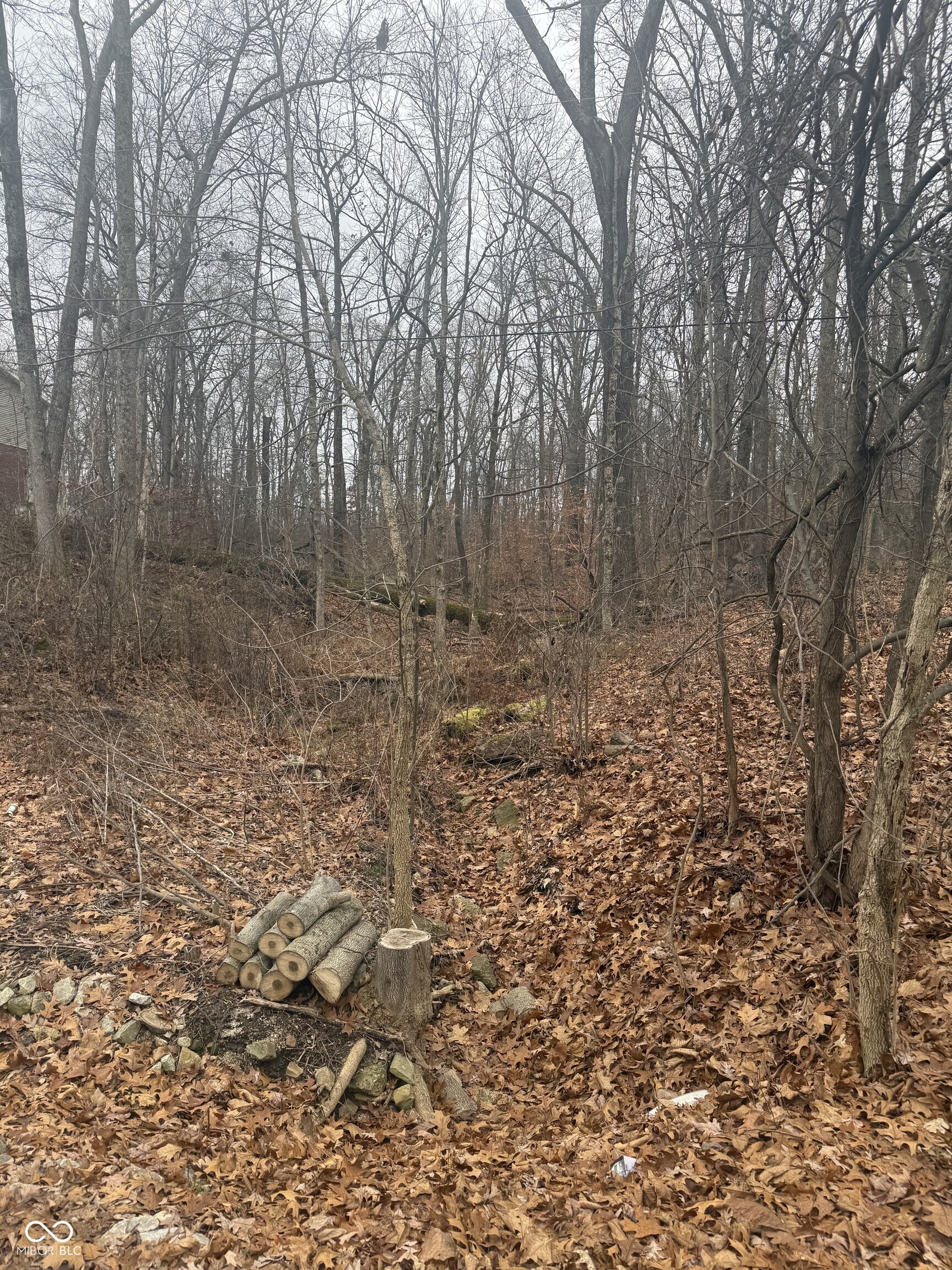 0 Airport West Road Bloomington, IN 47403 - Photo 3 of 3