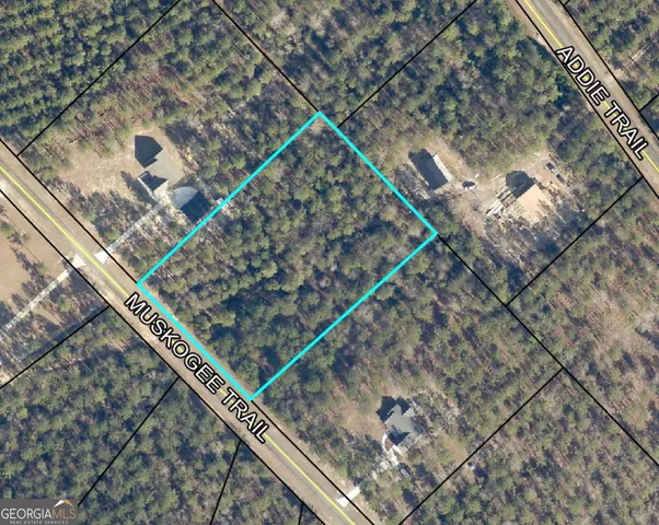 $42,000 | 0 Muskogee Trl Road, Unit LOT 84, Dublin, GA 31021