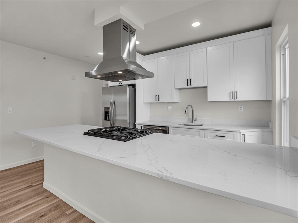 12 Alpine Street, Unit 1 Worcester, MA 01610 - Photo 3 of 33