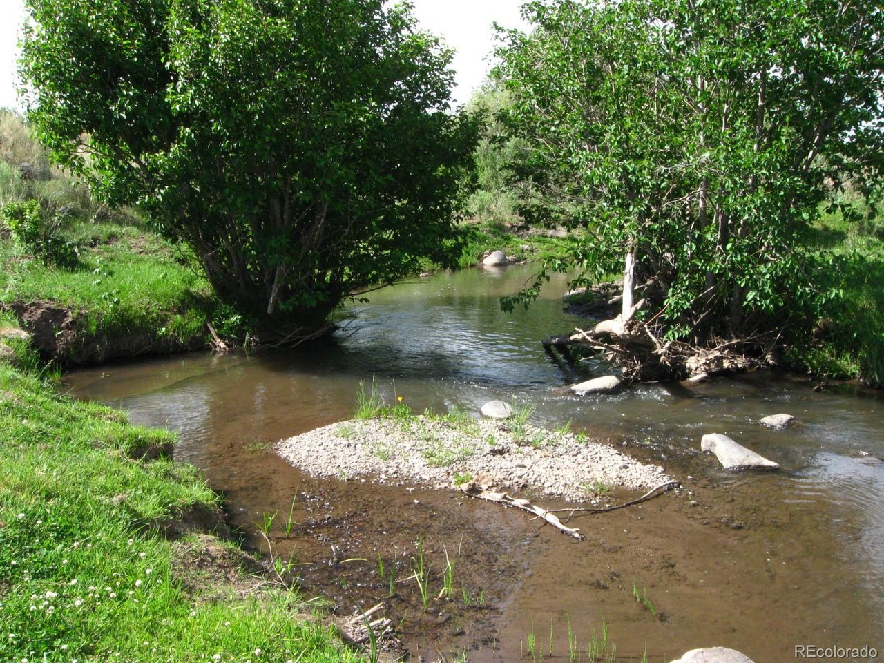 a view of a tree in a yard