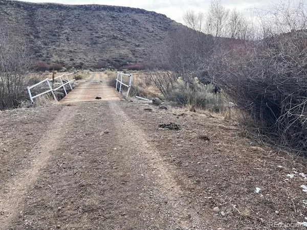 a view of a dry yard with trees in the background