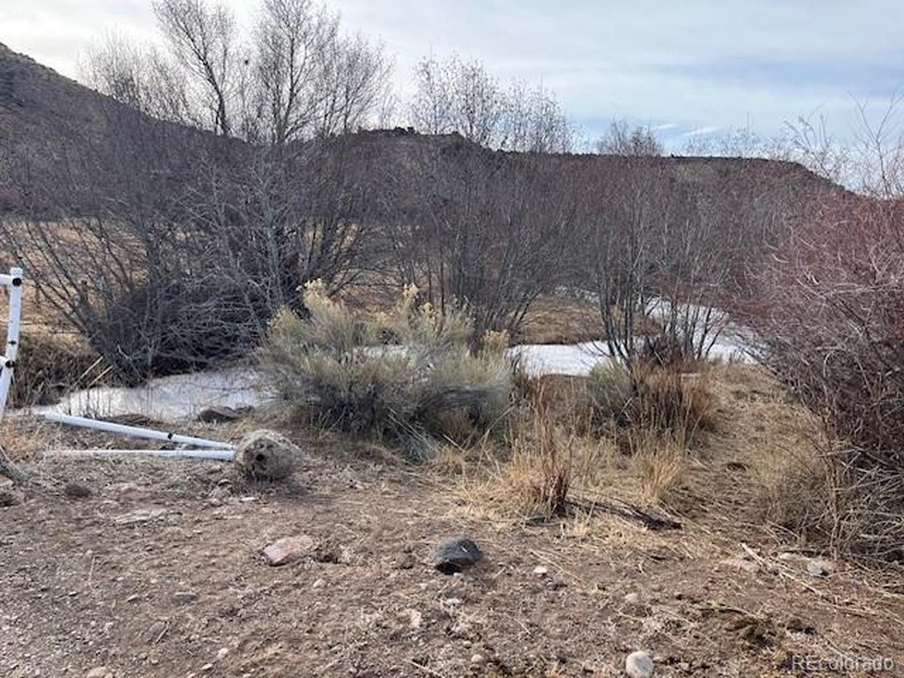 23 Canyon Road Antonito, CO 81120 - Photo 14 of 29 a view of a yard with a large tree