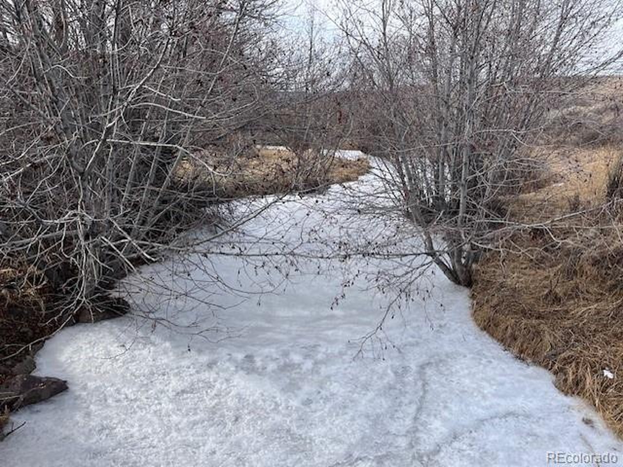 23 Canyon Road Antonito, CO 81120 - Photo 15 of 29 a view of a dry yard with trees in the background