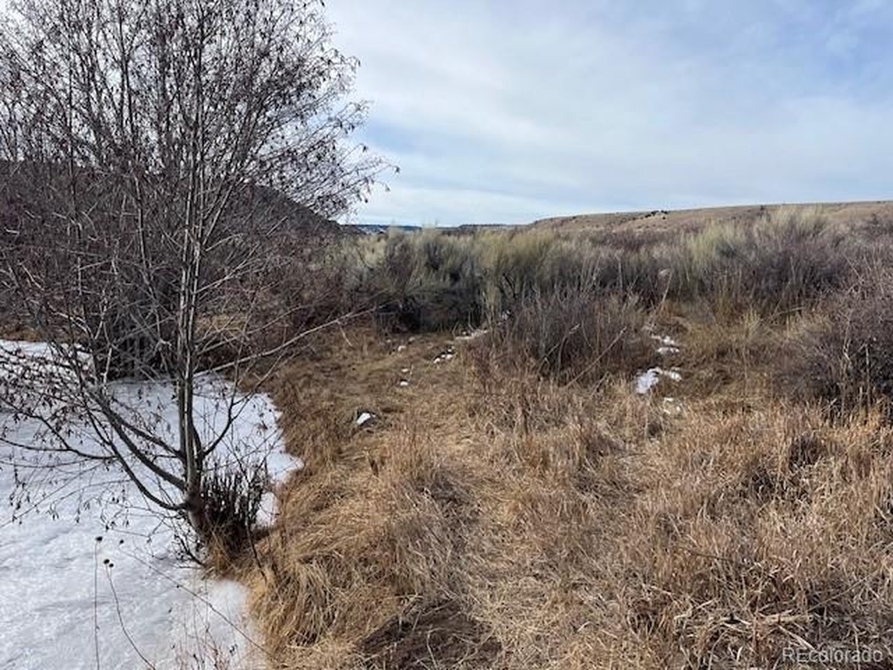 23 Canyon Road Antonito, CO 81120 - Photo 19 of 29 a view of a dry yard with trees